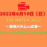 ザマッチ2022ppv