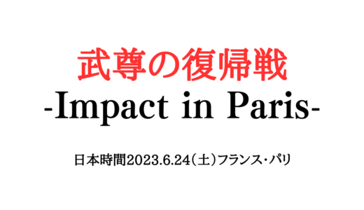 ベイリーサグデンの強さや戦績は？実際の試合映像も紹介！