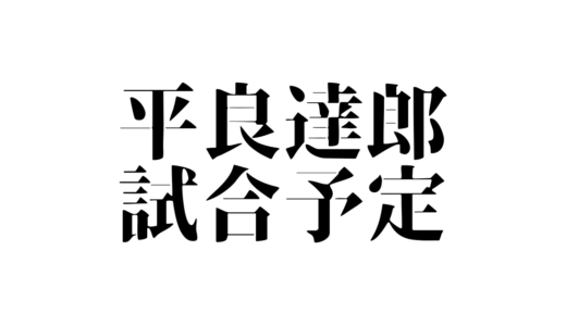 【UFC】平良達郎の次戦やテレビ放送は？試合順・配信情報・結果速報についても紹介！